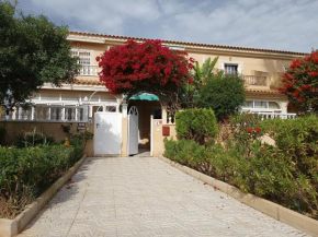 Estrella de Mar